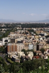 IMG_1176.jpg