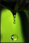 macro_02.jpg
