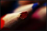macro_03.jpg