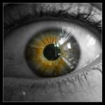 macro_05.jpg
