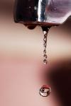 macro_06.jpg