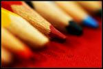 macro_07.jpg