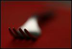macro_00.jpg