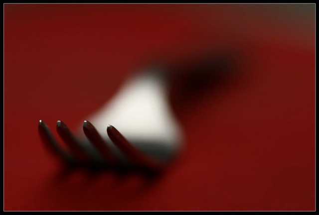 macro_00.jpg
