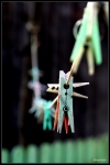 macro_08.jpg