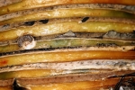 tex_09.jpg