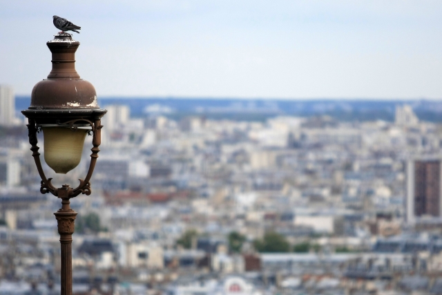 paris17.JPG
