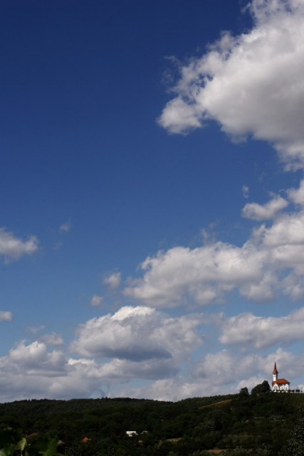 IMG_7257_resize.jpg